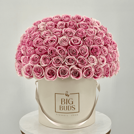 Signature Rosita Box