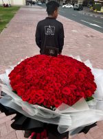 501 Red Roses Bouquet