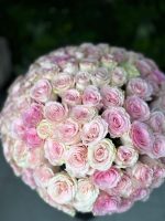 Rosy Layers | Esperance Roses - Image 2