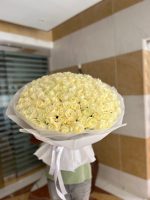 151 White Roses Bouquet - Image 2