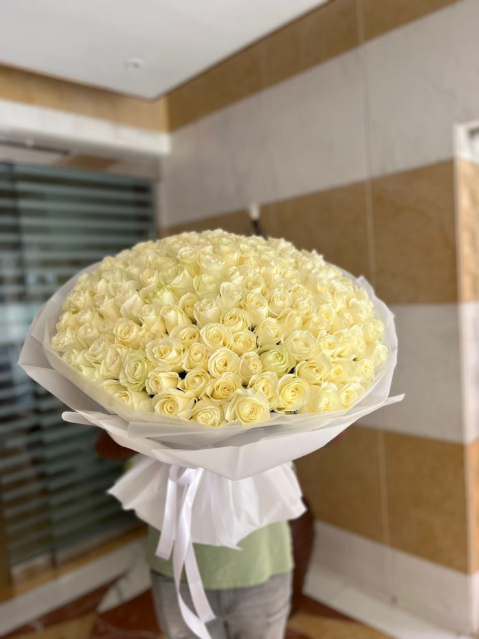 151 White Roses Bouquet - BIG BUDS