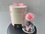 Preserved/Long Lasting Rose In Box - Image 2