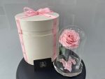 Preserved/Long Lasting Rose In Box
