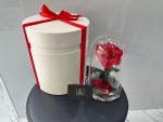 Preserved/Long Lasting Rose In Box