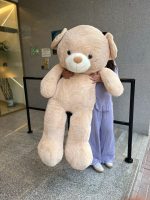Giant Bear