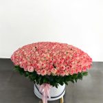 BBF Fresh 501 Pink  Roses Sweet Box