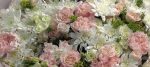 Rosé Petal Reverie Bouquet/Mix Flowers - Image 2