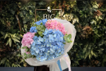 Blush & Blue Harmony Hydrangea Bouquet